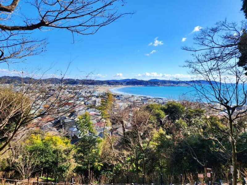 Kamakura Private & Customizable Tour - All-in-One Experience - Final Thoughts