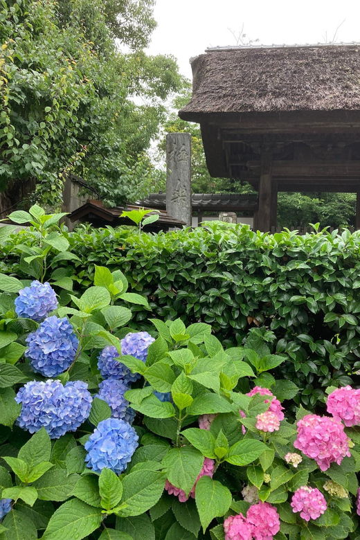 kamakura-tour-on-the-works-of-ninsho-in-french
