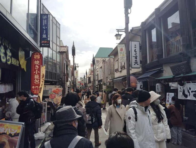 Kamakura: Tsurugaoka Hachimangu & Komachi Street Tour - In The Sum Up