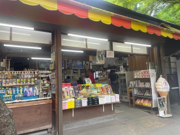 kamakura-visit-daibutsu-and-shopping-experience