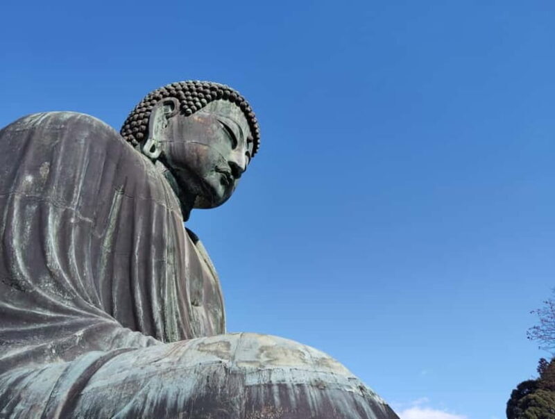 Kamakura: Visit the Great Buddhas & Mysterious Cave Temple - The Practicalities of the Tour