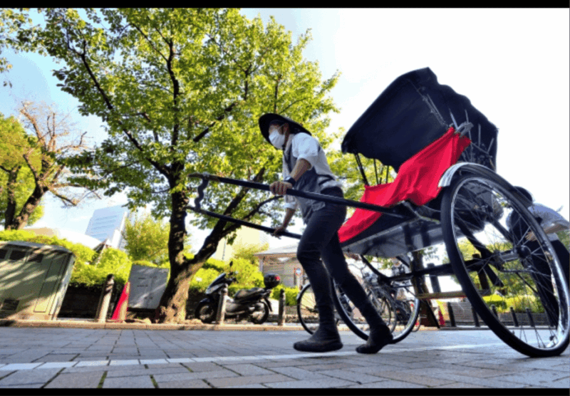 kamakura-zen-experience-an-unmatched-journey-to-serenity