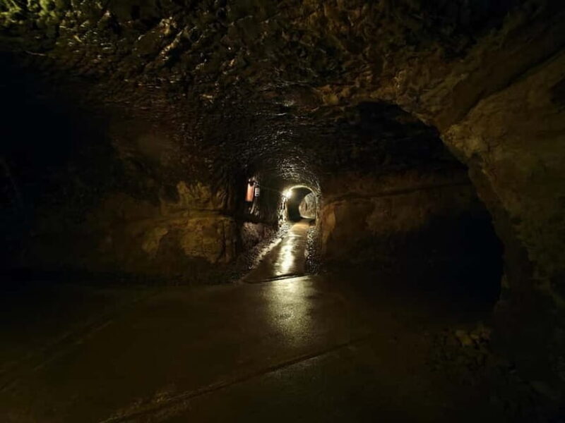 Kamakura Zen: Great Buddha, Nature, Bamboo & Samurai Culture - Key Points