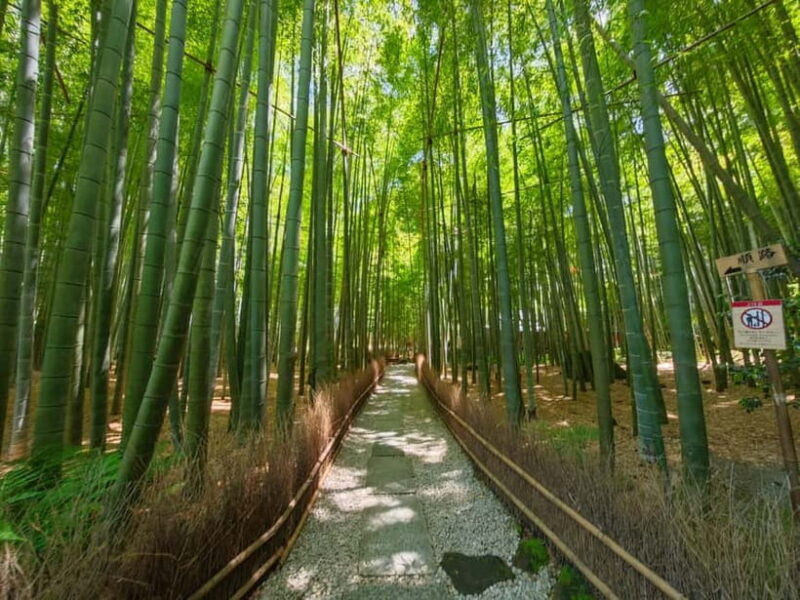 Kamakura Zen: Great Buddha, Nature, Bamboo & Samurai Culture - Walking in Samurai’s Footsteps