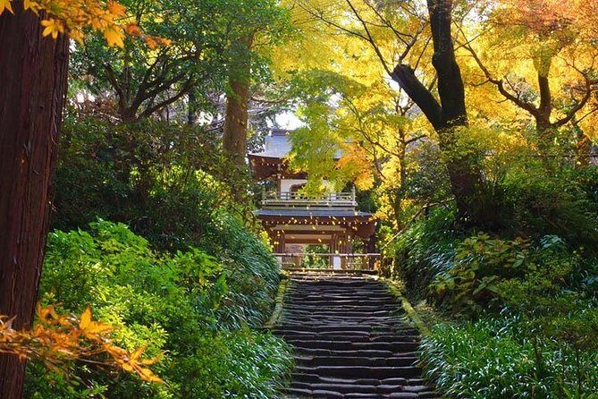 Kamakura Zen Temples and Gardens Private Trip with Government-Licensed Guide - Key Points