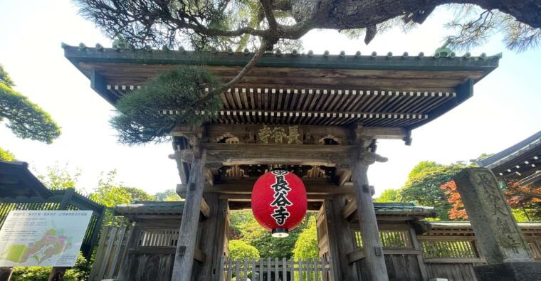 kamakuralargest-wooden-buddha-temples-cultural-experience