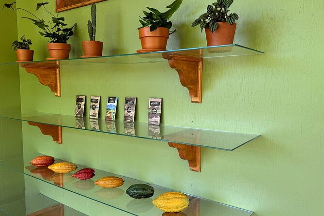 kamananui-cacao-orchard-tour