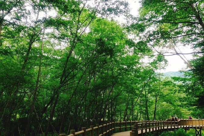 Kamikochi Mountain Day Trip from Tokyo - FAQ