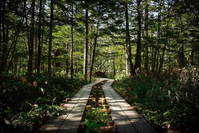 Kamikochi Private Summer Escape: Meet Wildlife in Pristine Nature - The Balance of Comfort and Authenticity