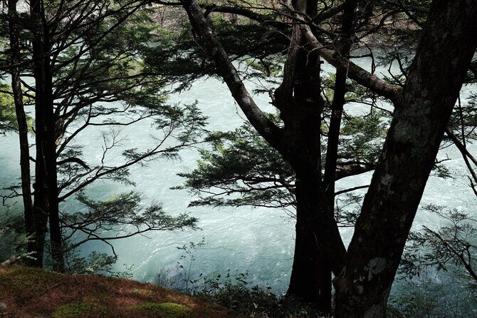 Kamikochi Private Summer Escape: Meet Wildlife in Pristine Nature - The Sum Up