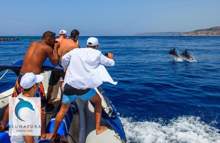 kamiros-skala-marine-life-experience-alimia-island