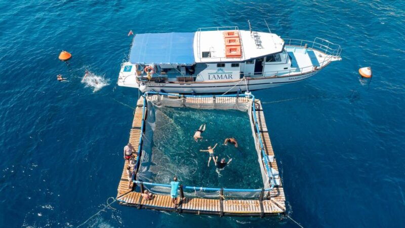 kamiros-skala-marine-life-experience-by-boat