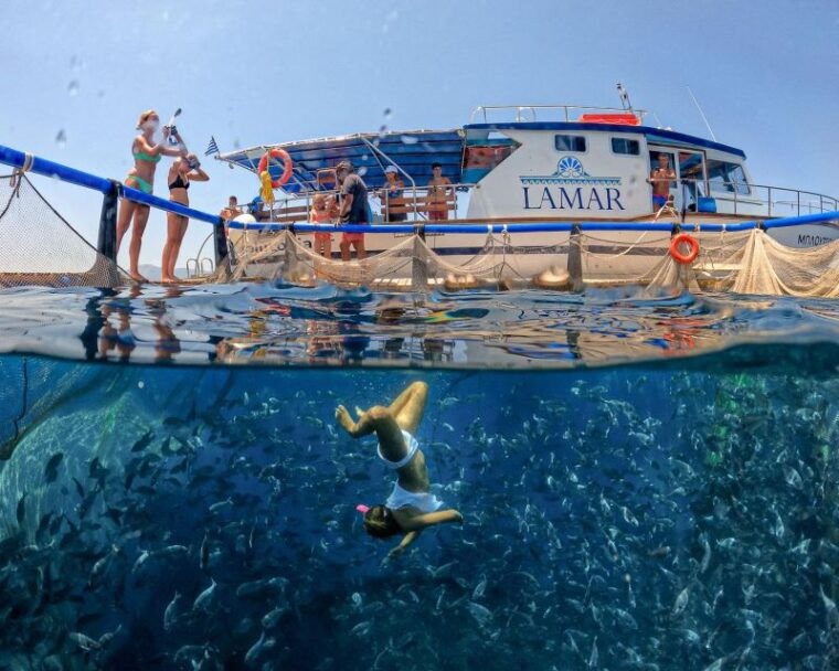 kamiros-skala-marine-life-experience-by-boat