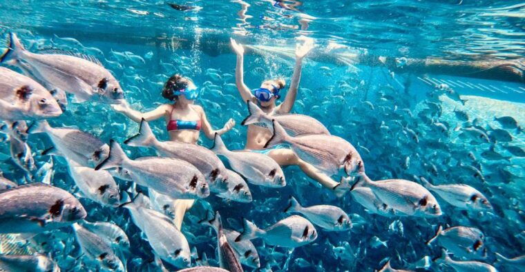 kamiros-skala-marine-life-experience-by-boat