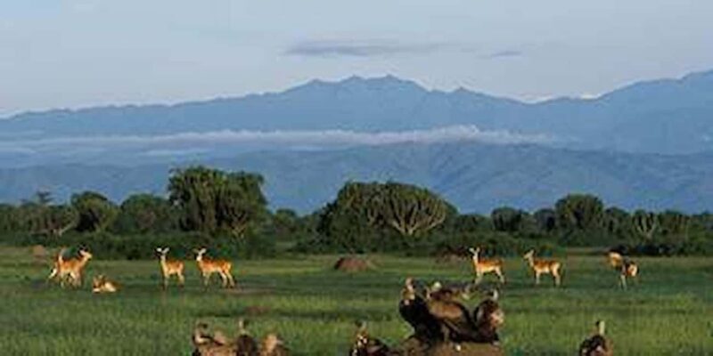 Kampala: 2-Day Queen Elizabeth Wildlife Safari - An Inside Look at the 2-Day Queen Elizabeth Safari