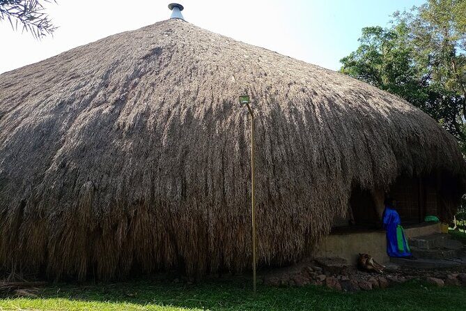Kampala cultural tours - An In-Depth Look at Kampala Cultural Tours