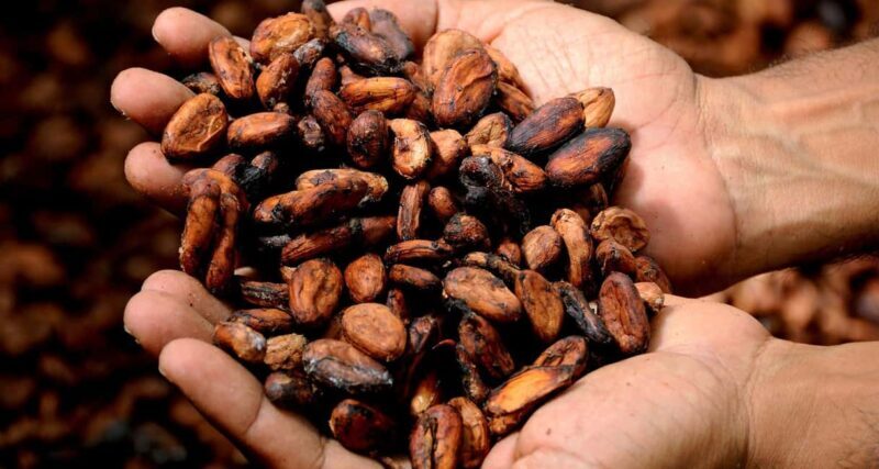 Kampala: Hands-On Chocolate Making Experience - Kampala: Hands-On Chocolate Making Experience — A Sweet Journey into Cocoa