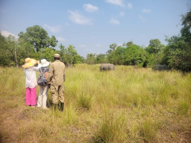 Kampala: Ziwa Rhino trekking tour with Pick up & drop off - Conservation and Education  