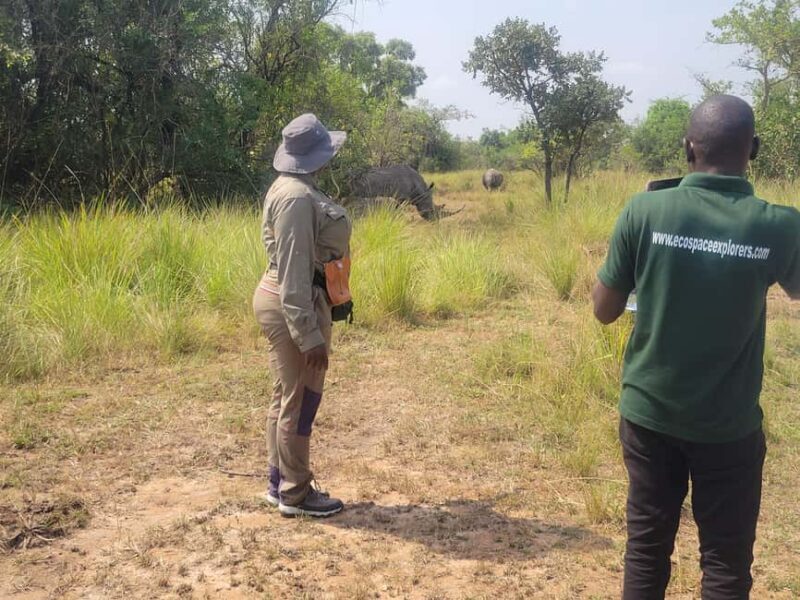 Kampala: Ziwa Rhino trekking tour with Pick up & drop off - FAQs  