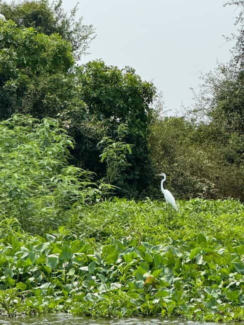 Kampong Phluk Floating Village & Tonle Sap Boat Tour. - Key Points