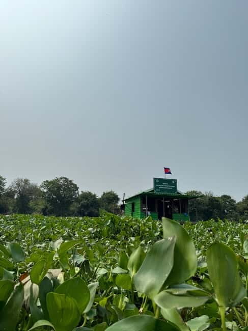 Kampong Phluk Floating Village & Tonle Sap Boat Tour. - What to Expect on This Kampong Phluk & Tonle Sap Tour