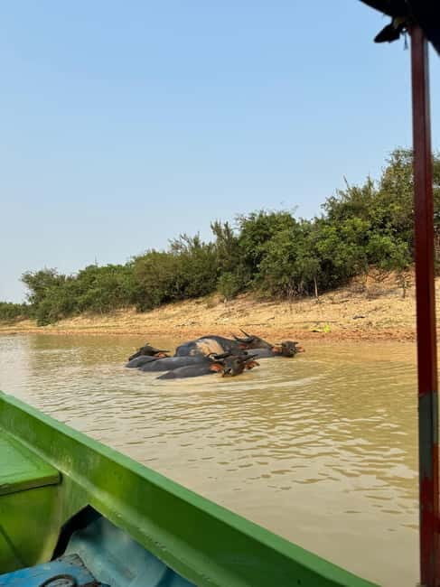 Kampong Phluk Floating Village & Tonle Sap Boat Tour. - Who Is This Tour Best For?
