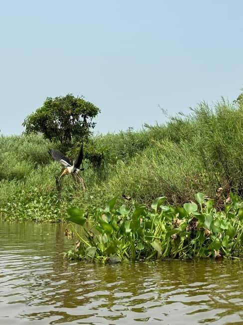 Kampong Phluk Floating Village & Tonle Sap Boat Tour. - FAQ