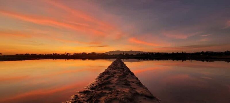 Kampot Countryside include Pepper farm, Salt field & Lake - What Reviewers Love Most
