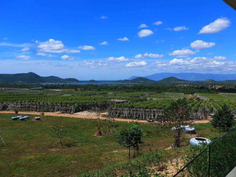 kampot-day-trip-to-pepper-farm-temple-and-salt-field-etc