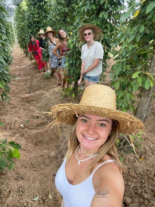 kampot-kep-paper-farm-old-french-architectures