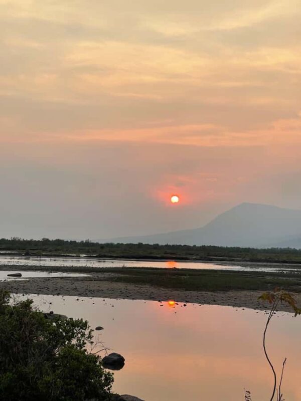 Kampot: Lotus Pond, Wat Traeuy Kaoh, and Coconut Beach Tour - Practical Details: What You Need to Know