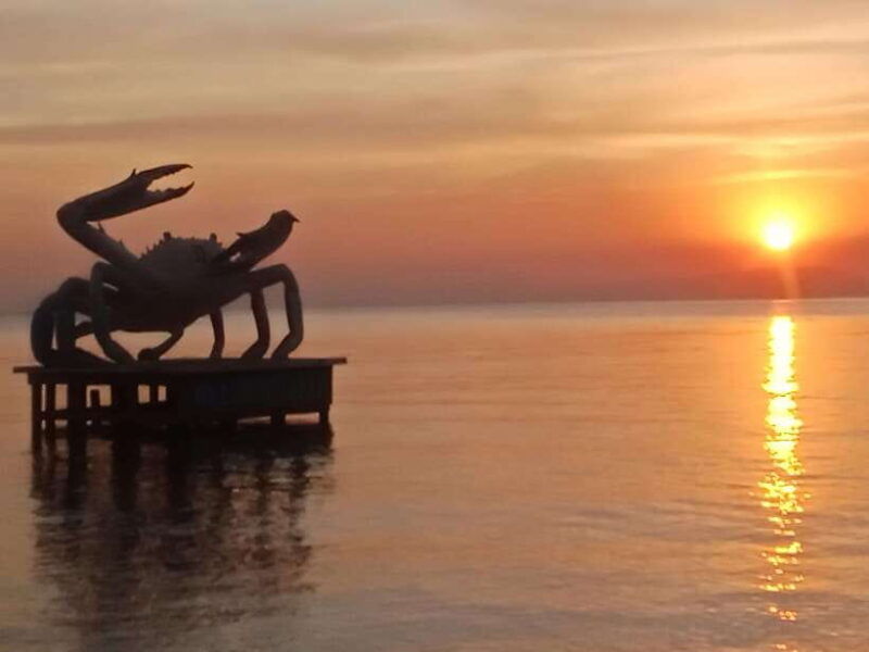 kampot-pepper-farm-cave-lake-kep-crab-market-more