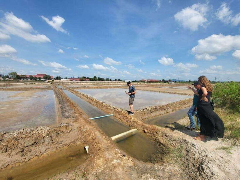 kampot-pepper-farm-salt-fields-crab-market-from-phnom-penh