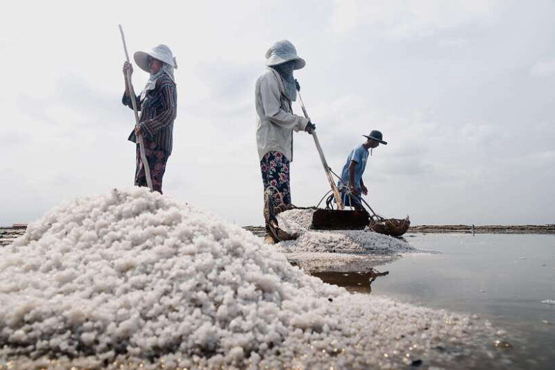 kampot-salt-fields-pepper-farm-and-secret-lake-tour
