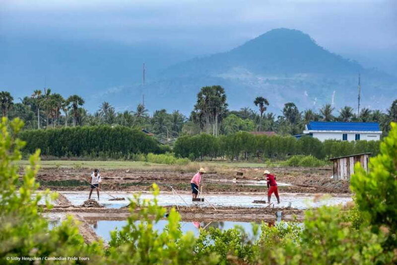 kampot-salt-fields-pepper-farm-and-secret-lake-tour