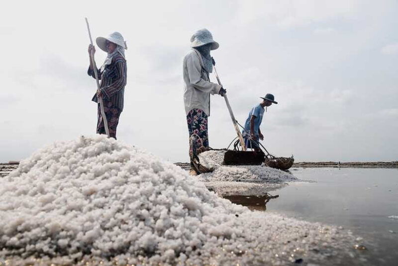 kampot-salt-fields-pepper-farm-and-secret-lake-tour