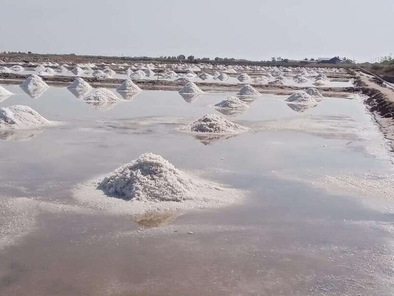 kampot-the-county-side-pepper-farm-kep-crab-market