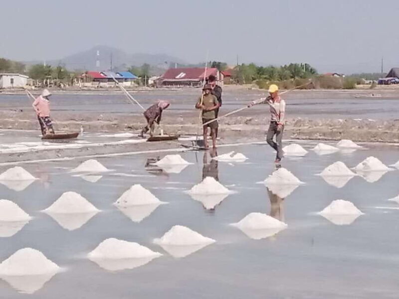 kampot-the-county-side-pepper-farm-kep-crab-market