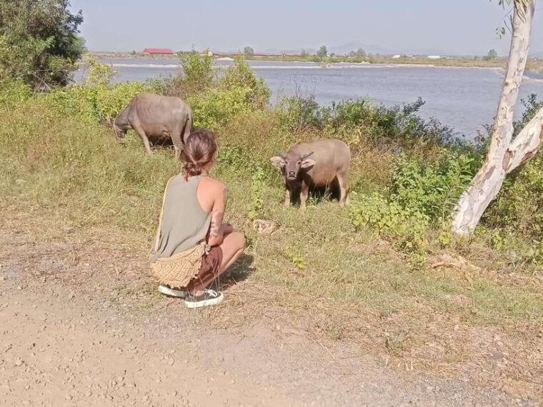kampot-the-county-side-pepper-farm-kep-crab-market