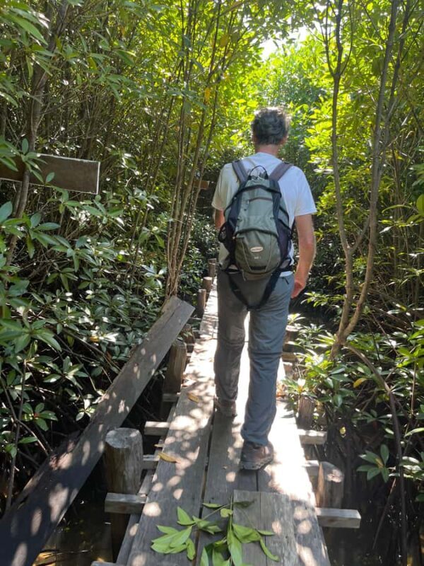 Kampot: Trapeang Sangkae Mangrove Forest Tour - Key Points