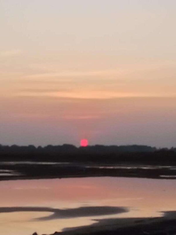 kampot-tuk-tuk-trip-to-pepper-farm-kep-crab-market-more