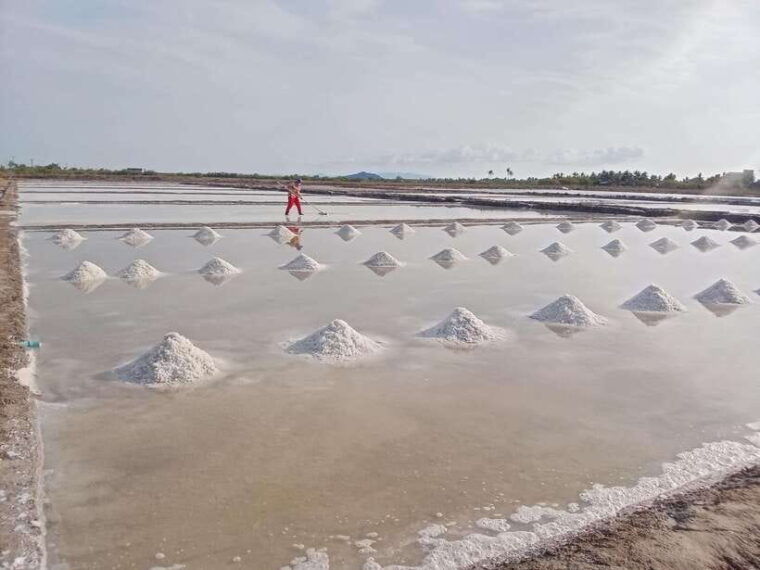 kampot-tuk-tuk-trip-to-pepper-farm-kep-crab-market-more