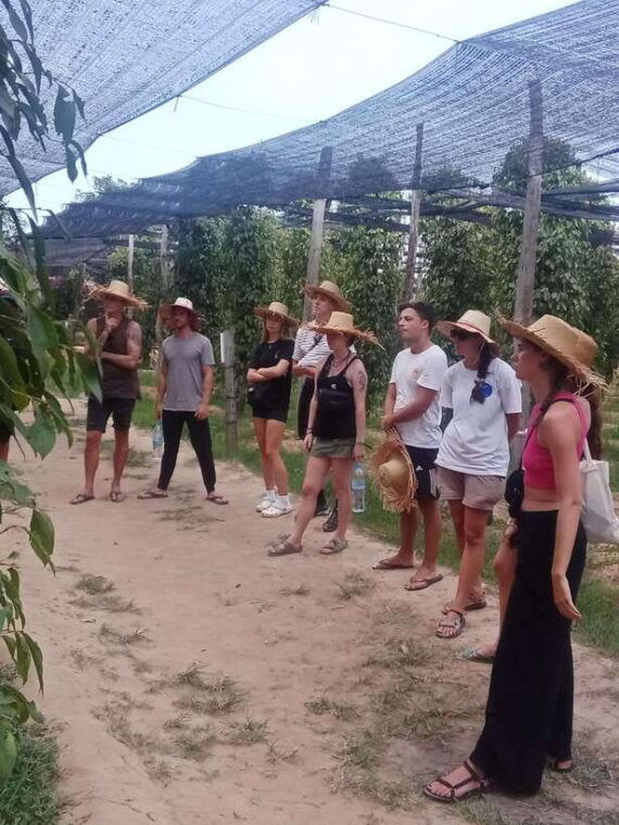 kampot-tuk-tuk-trip-to-pepper-farm-kep-crab-market-more