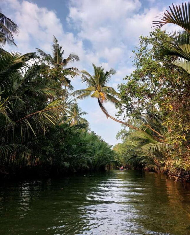 Kampot's Countryside & Kayak Tour, Pepper Farm include Lunch - An In-Depth Look at Kampots Countryside & Kayak Tour