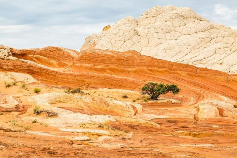 kanab-white-pocket-tour-hike