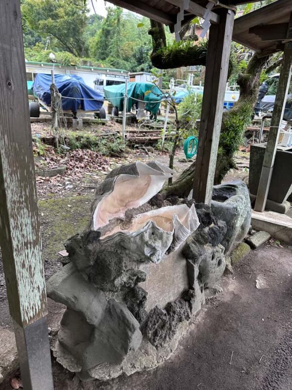 Kanagawa: Koajiro no Mori Forest Trek with Guide - Transport and Timing