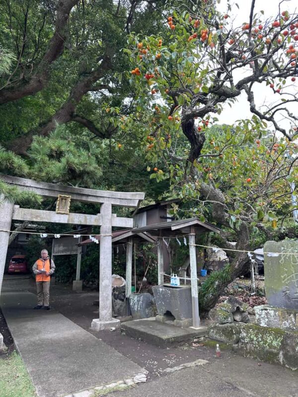 Kanagawa: Koajiro no Mori Forest Trek with Guide - FAQs