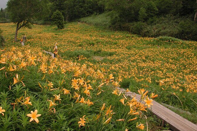 Kanazawa Day Tour: Shomyo Falls & Tateyama Mountain Walks - Final Thoughts: Who Will Love This Tour?