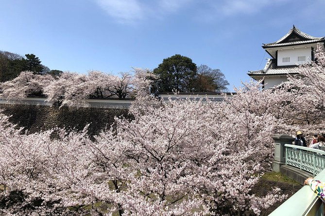 kanazawa-highlights-tour-including-kenrokuen-garden