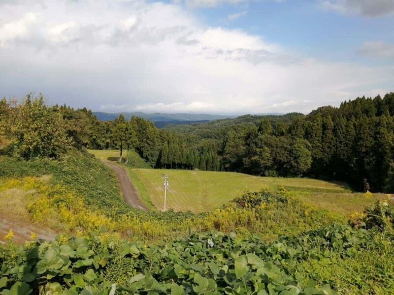 Kanazawa: Onsen Hot Springs Experience with Transfer - Who Will Appreciate This Tour?